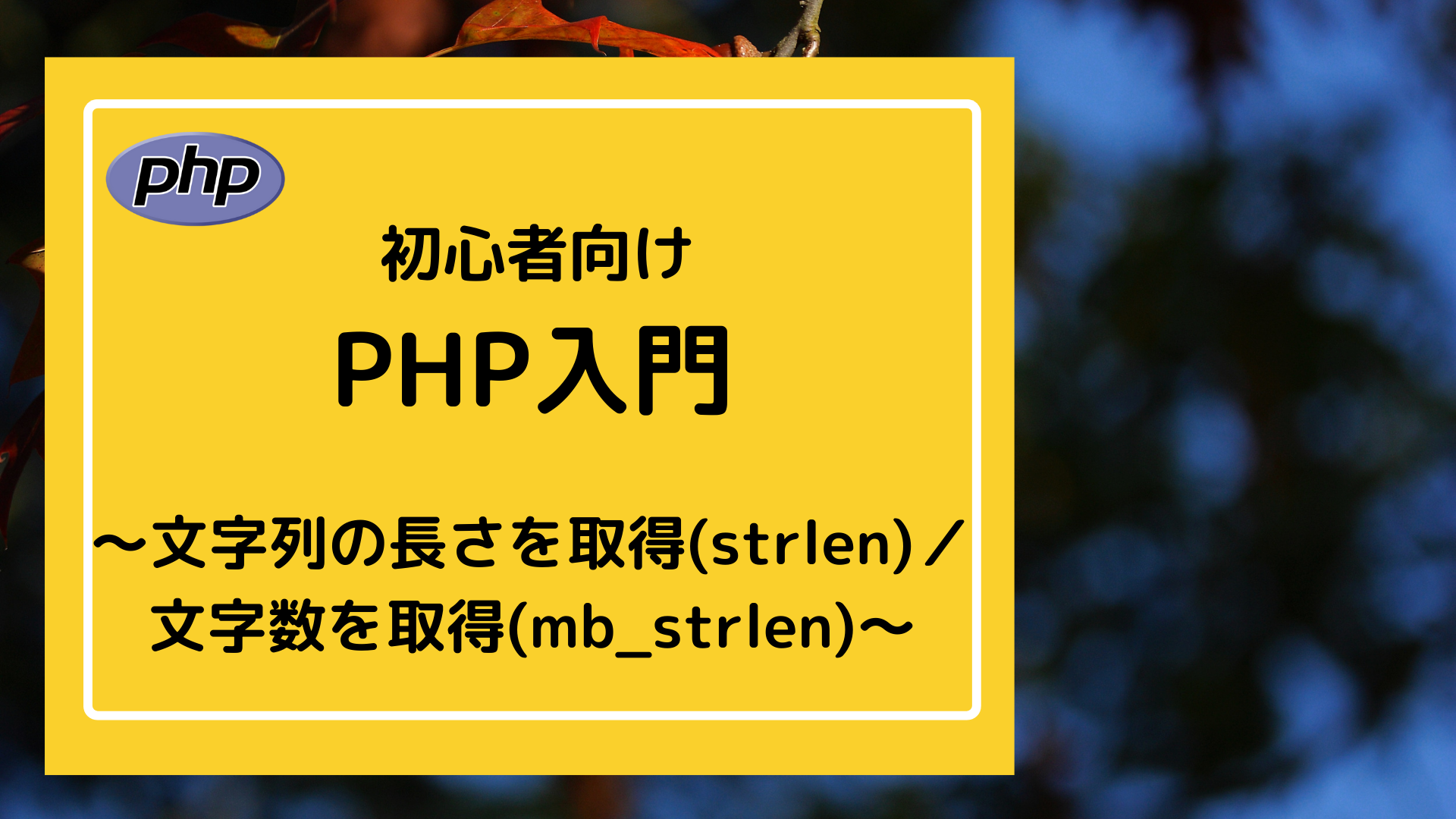 PHP入門−文字列関数