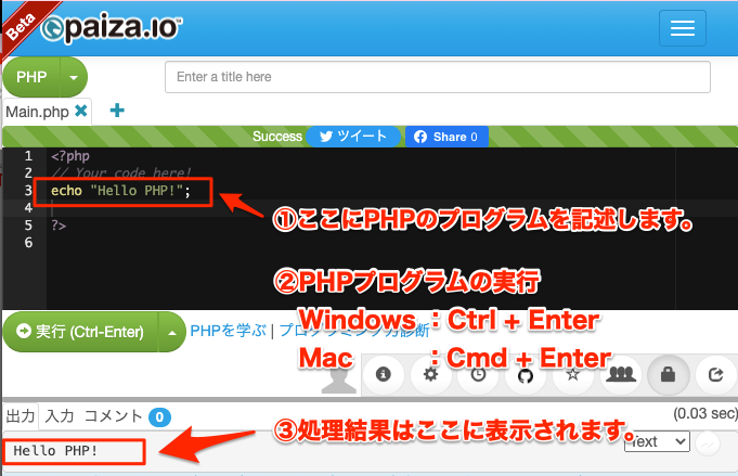 Paizaでの実行方法